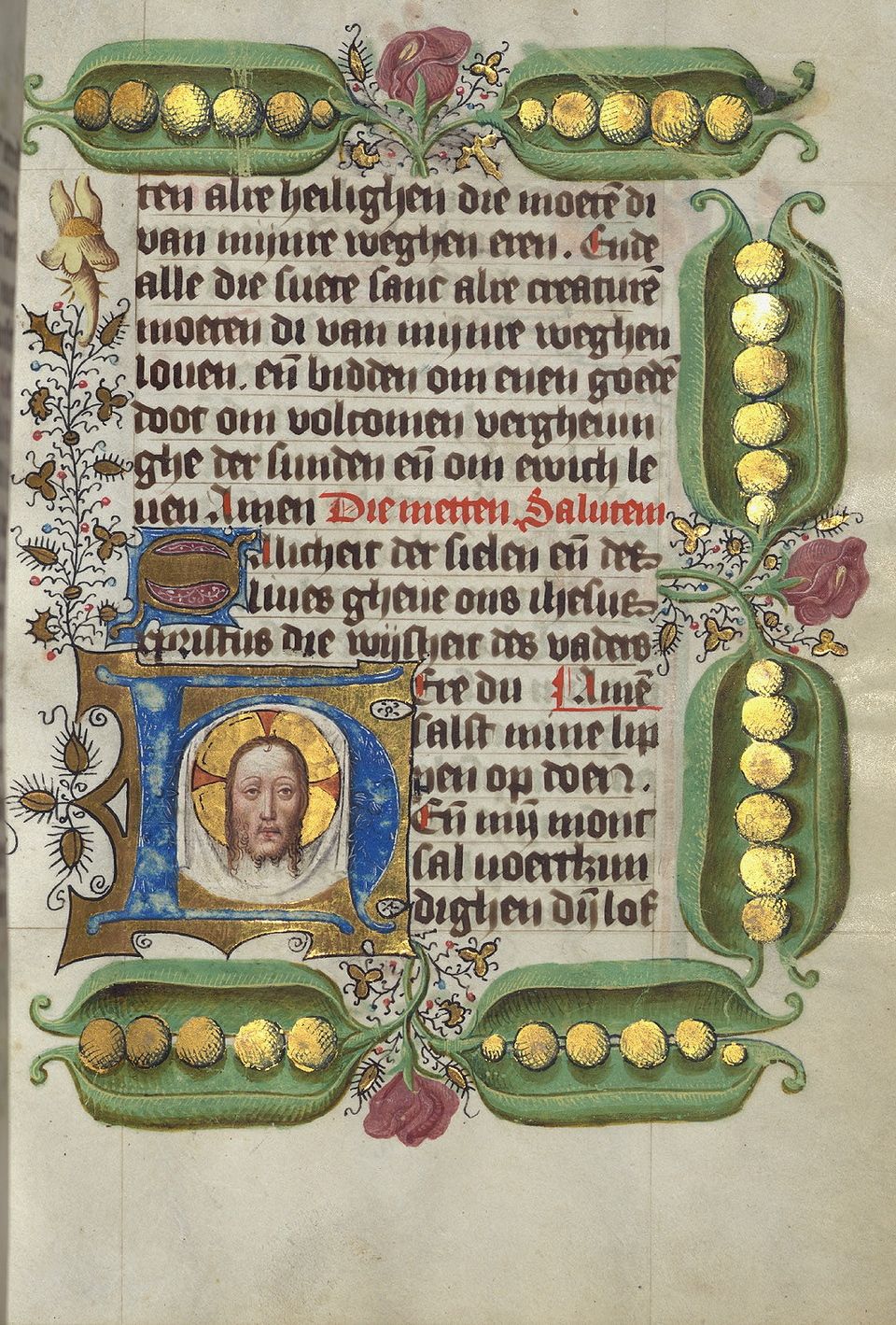 manuscript peas